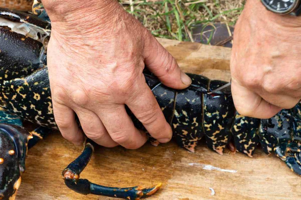 découper un homard cru