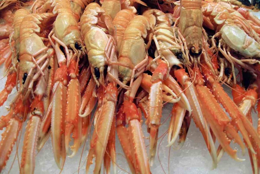 un plateau de fruits de mer avec crustacés